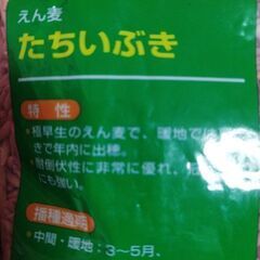 えん麦