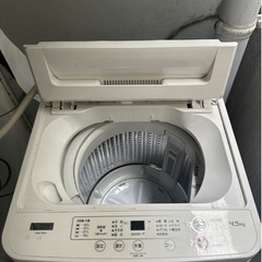 家電 生活家電 洗濯機