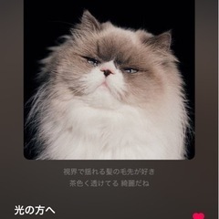 音楽してる方、したい方募集 − 岡山県