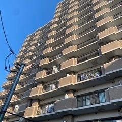 塗装屋　高収入　社保完備　設立2年目　役職候補　寮希望応相談の画像