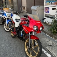 3月限定価格　ホンダ　NS-1 CBXカラー　　　　