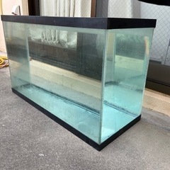 珍しいサイズの水槽