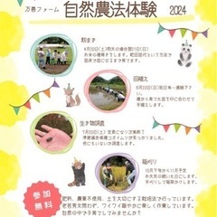 自然体験　自然農法　みんなの田んぼ　生き物調査