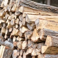 薪を探しております。