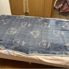 ベット