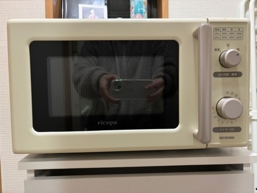 家電 キッチン家電 電子レンジ