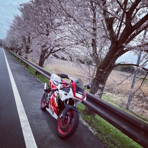 [お取引先決定済]掲載終了間近 多少の値下げ有 バイク ヤマハ TZR50R 実働 即乗り