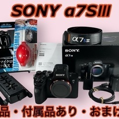 美品　SONY α7SⅢ ILCE-7SM3 ILCE-7SM3...