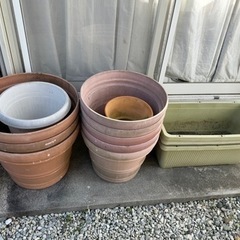 植木鉢大から各種