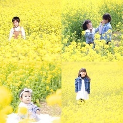 【菜の花撮影会】成田空港付近