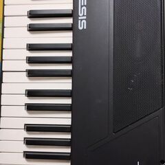 Alesis 88鍵盤 電子ピアノ Recital Pro+スタンドの画像