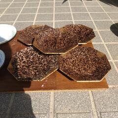 食器　中皿2の画像