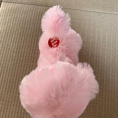 犬　トイプードル　おもちゃ ぬいぐるみ　動きますの画像