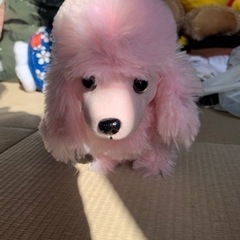 犬　トイプードル　おもちゃ ぬいぐるみ　動きます