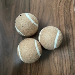 ペット用ボールあげます
