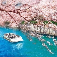4/13(土)🌸2024楽しむ友活🌸お花見クルージング🚢🌸🍡