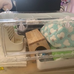 生活雑貨 家庭用品 キッチン雑貨