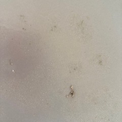 棚板差し上げますの画像