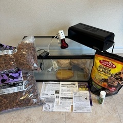 すぐに飼育可能なセット！　リクガメ　爬虫類　トカゲ　水槽　照明器具　UVランプ　水温計　ハスクチップ　フード　セット　の画像