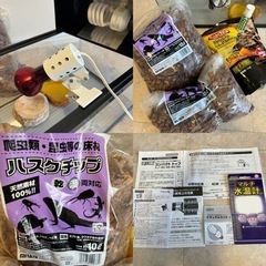 すぐに飼育可能なセット！　リクガメ　爬虫類　トカゲ　水槽　照明器具　UVランプ　水温計　ハスクチップ　フード　セット　の画像