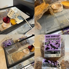 すぐに飼育可能なセット！　リクガメ　爬虫類　トカゲ　水槽　照明器具　UVランプ　水温計　ハスクチップ　フード　セット　の画像