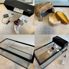 すぐに飼育可能なセット！　リクガメ　爬虫類　トカゲ　水槽　照明器具　UVランプ　水温計　ハスクチップ　フード　セット　の画像