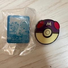 ポケモン　ピンバッジ　2個セット