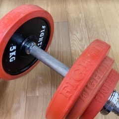 ファイティングロード ベンチプレス台とプレートのセットの画像