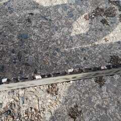 ♬　￥５０００で完了！　日立チェンソーCS33EDTP//実動機の画像