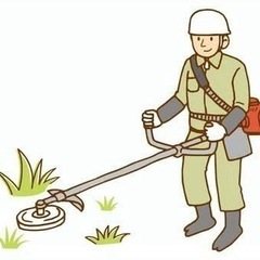 お庭のお手入れ承ります。狭い範囲の草刈りや植木1本からでも大歓迎‼️
