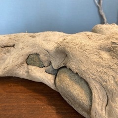 12.石を抱えた野獣　流木…天然物、インテリア、オブジェの画像