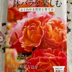 薔薇、お手入れ、栽培、ご相談承ります。当家の庭の見学もどうぞ、の画像