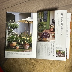 薔薇、お手入れ、栽培、ご相談承ります。当家の庭の見学もどうぞ、の画像