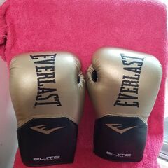 Everlast　  エバーラスト 　ボクシング　グローブ　16...