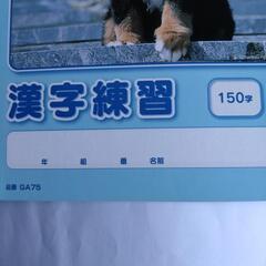 パリオノート かんがえるノート 漢字練習 150字の画像
