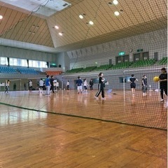 ソフトバレーしませんか？
