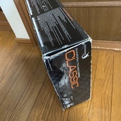 トーイングチューブ　ジェットスキー の画像