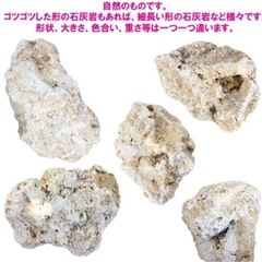 琉球石灰岩　洗浄済　中サイズ　19〜21kg(8〜10個)の画像