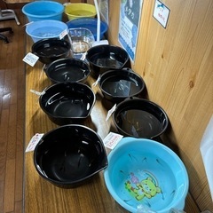 昨年産まれのメダカ