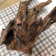 無料！！変木　流木　置物　色が塗ってある　木彫りの置物が引っ付いている（約）幅30×奥行25×高さ57ｃｍ【こちらは店舗です。浜村鹿野温泉ICから3分 買取本舗 宮本リサイクル 営業時間９～１９時 定休日水曜日】の画像