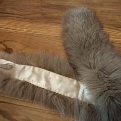 （お話し中）フォックス　襟巻きの画像