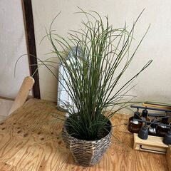 100cm 人工観葉植物 フェイクグリーン インテリア