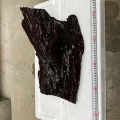 流木 大   アク抜き済 沈下確認済