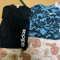 服/ファッション Tシャツ メンズ