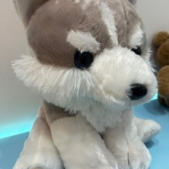 🍦新品🍦もふっとオオカミワンダフル　ぬいぐるみの画像