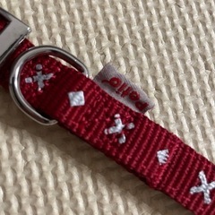小型犬首輪　　反射　未使用の画像