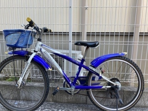 BRIDGSTONEジュニア自転車(検討中)