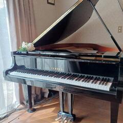 グランドピアノ　YAMAHA