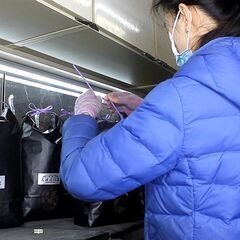【急募！パート】軽作業スタッフ ★週1日・日1時間から可★ ★未経験OK★ ★履歴書不要★の画像