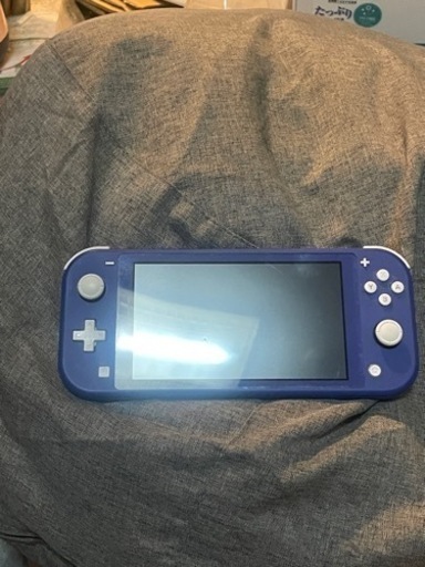 Switchライト  おまけつき